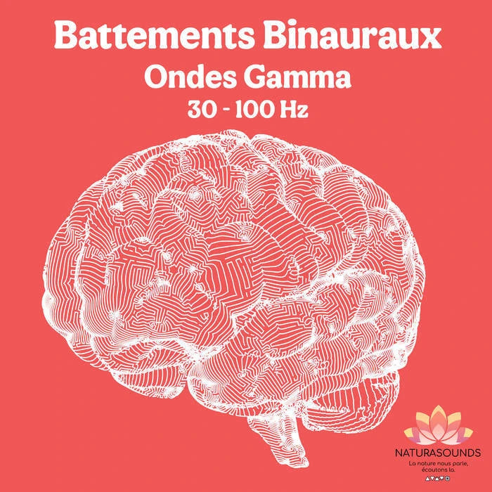 🎧 Album Battements Binauraux Ondes Gamma - 30 à 100 Hz