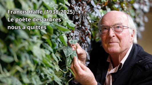 Francis Hallé (1938-2025) : Le poète des arbres nous a quittés