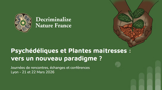 Plantes Maîtresses : quand la nature nous guérit