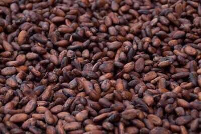 Diapasons Cacao y Café - Fréquences Exotiques | Collection Stimulants Naturels