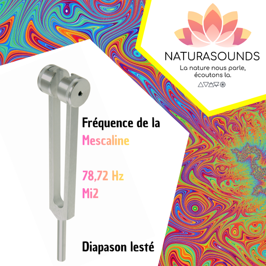 Diapason de la mescaline | Fréquence d'Introspection Profonde