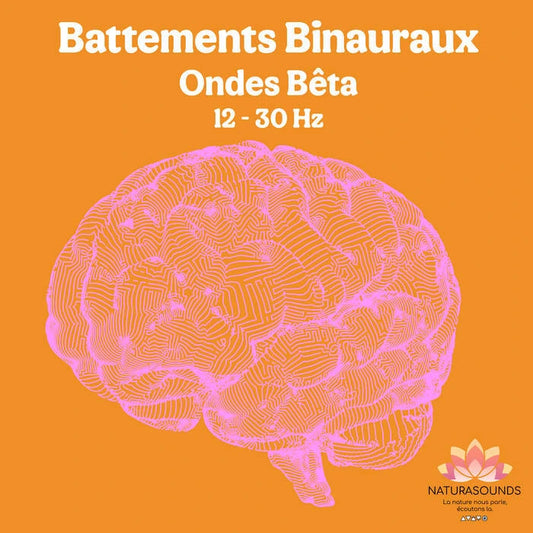 🎧 Album Battements Binauraux Ondes Bêta - 12 à 30 Hz