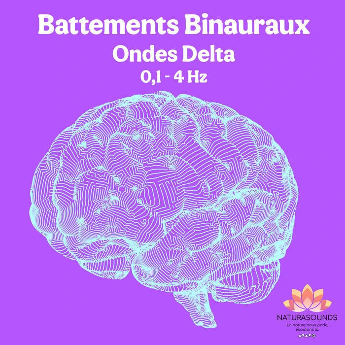 🎧 5 Albums de Battements Binauraux