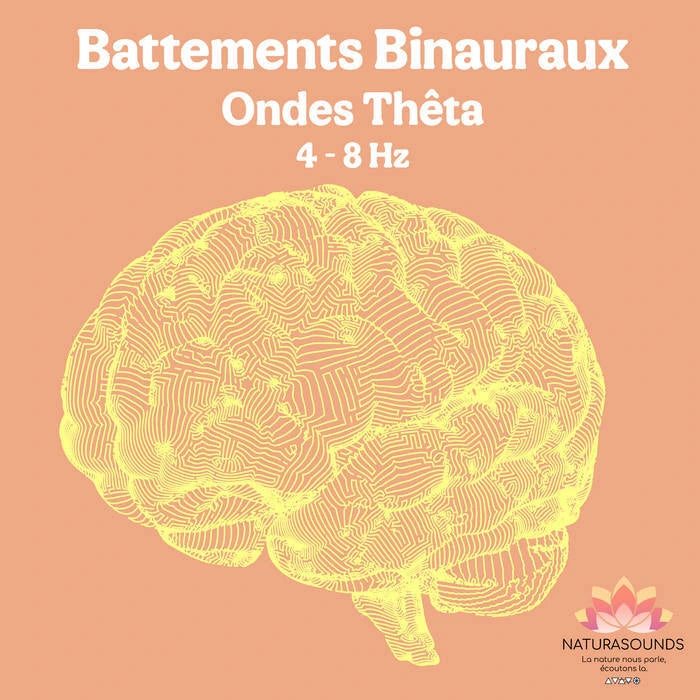 🎧 5 Albums de Battements Binauraux