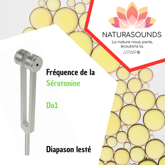 Diapason Neurotransmetteur - Sérotonine