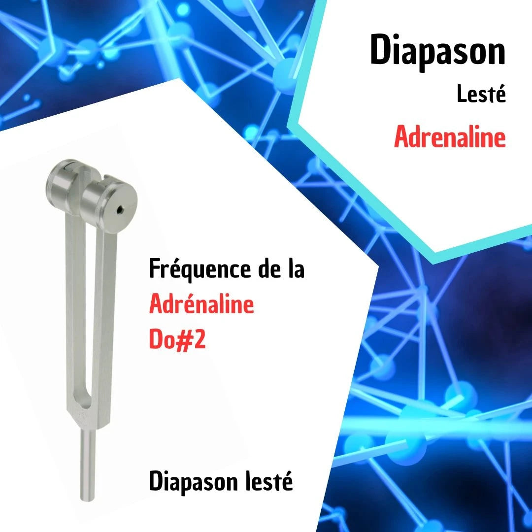 Diapason Neurotransmetteur - Adrénaline
