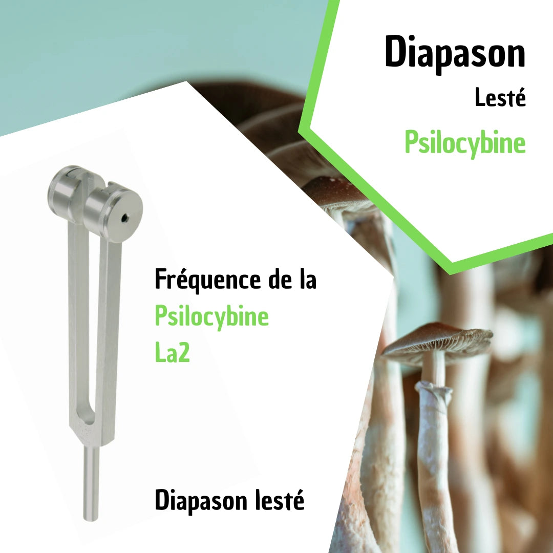 Diapason Psylocybine - Méditation & Exploration Intérieure