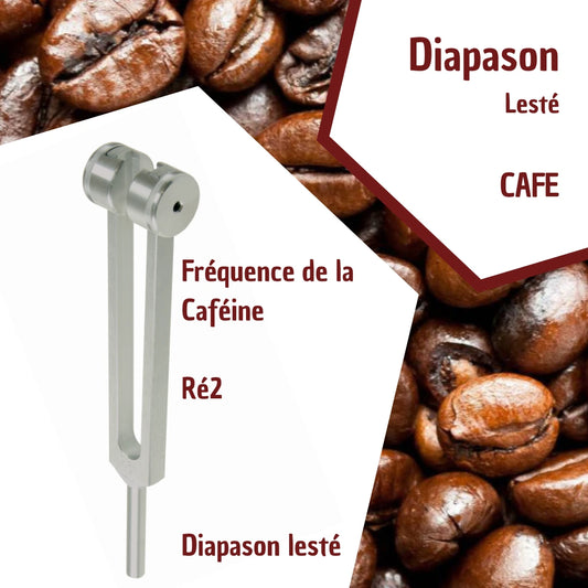 Diapason de la Caféine - Éveil & Dynamisme