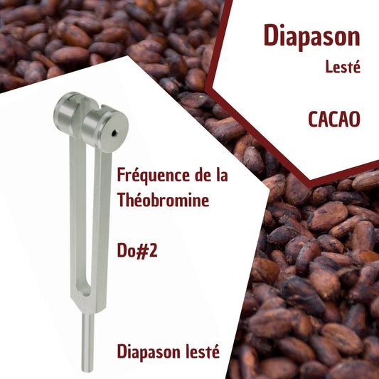 Diapason de la Théobromine - Plaisir & Énergie Douce