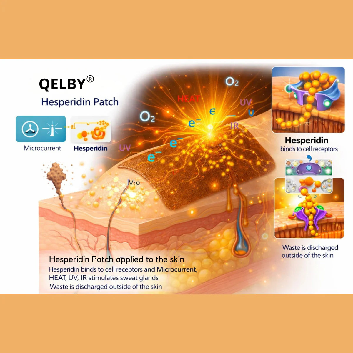 4 Patchs QELBY Hespéridine