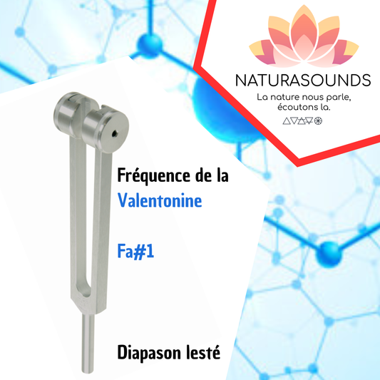 Diapason de la Valentonine - Fa#
