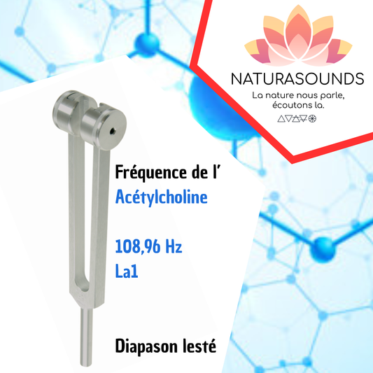 Diapason Acétylcholine 108,96 Hz | Fréquence Moléculaire