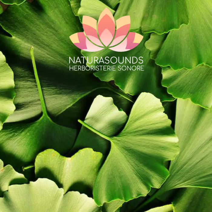 🎧 Chant Médicinale du Ginkgo Biloba - 429,62 Hz H20 / 30 minutes